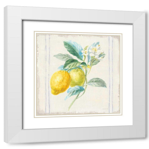 Floursack Lemons II Sq Navy White Modern Wood Framed Art Print with Double Matting by Nai, Danhui