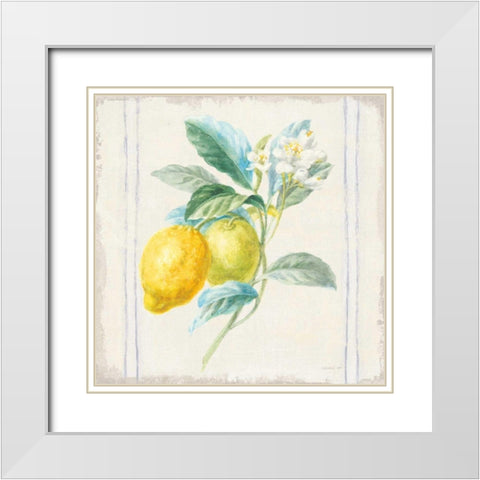 Floursack Lemons II Sq Navy White Modern Wood Framed Art Print with Double Matting by Nai, Danhui