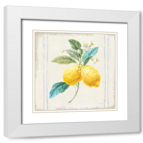 Floursack Lemons III Sq Navy White Modern Wood Framed Art Print with Double Matting by Nai, Danhui