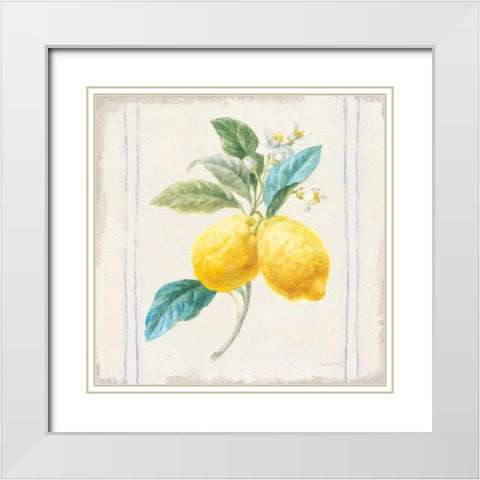 Floursack Lemons III Sq Navy White Modern Wood Framed Art Print with Double Matting by Nai, Danhui