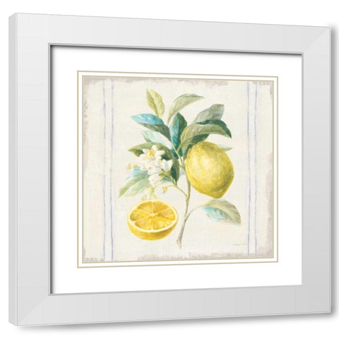 Floursack Lemons IV Sq Navy White Modern Wood Framed Art Print with Double Matting by Nai, Danhui