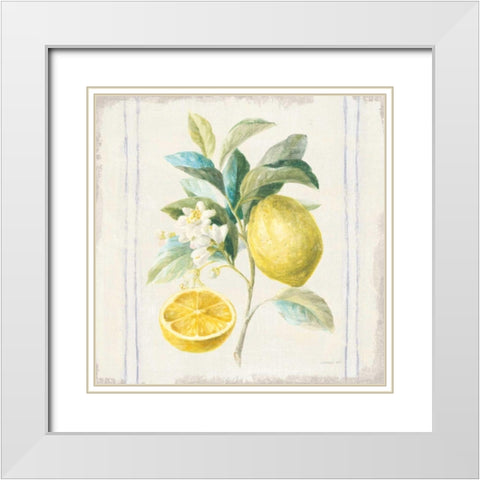 Floursack Lemons IV Sq Navy White Modern Wood Framed Art Print with Double Matting by Nai, Danhui