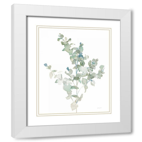 Eucalyptus II Cool White Modern Wood Framed Art Print with Double Matting by Nai, Danhui