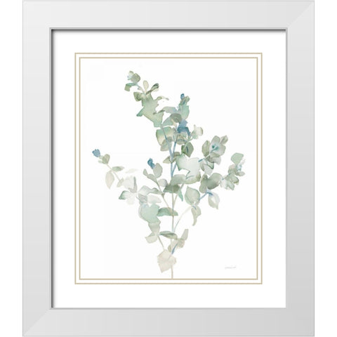 Eucalyptus II Cool White Modern Wood Framed Art Print with Double Matting by Nai, Danhui