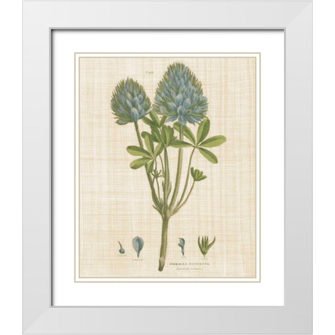 Herbal Botany XV Linen Crop White Modern Wood Framed Art Print with Double Matting by Wild Apple Portfolio