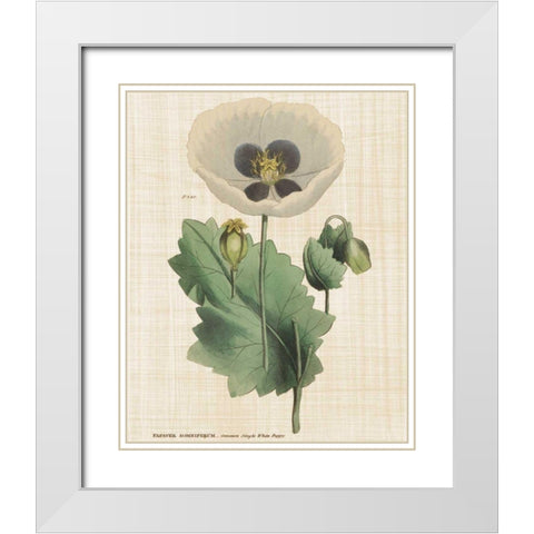 Herbal Botany XVI Linen Crop White Modern Wood Framed Art Print with Double Matting by Wild Apple Portfolio