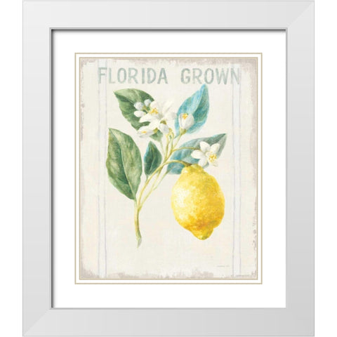 Floursack Lemon I v2 White Modern Wood Framed Art Print with Double Matting by Nai, Danhui