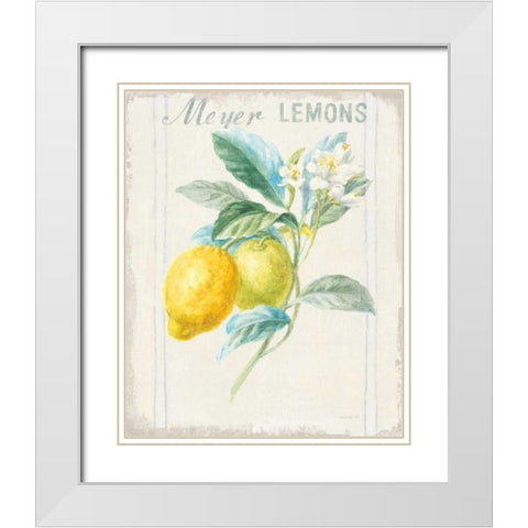 Floursack Lemon II v2 White Modern Wood Framed Art Print with Double Matting by Nai, Danhui