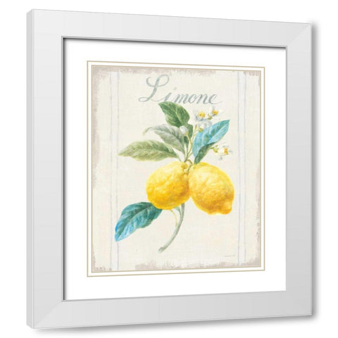 Floursack Lemon III v2 White Modern Wood Framed Art Print with Double Matting by Nai, Danhui