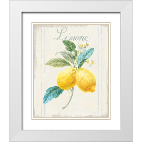 Floursack Lemon III v2 White Modern Wood Framed Art Print with Double Matting by Nai, Danhui