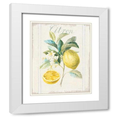Floursack Lemon IV v2 White Modern Wood Framed Art Print with Double Matting by Nai, Danhui