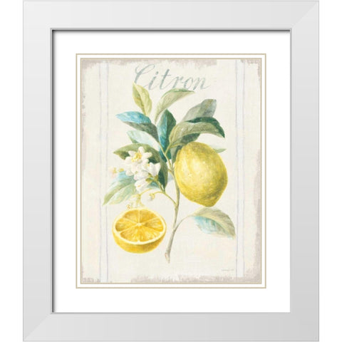 Floursack Lemon IV v2 White Modern Wood Framed Art Print with Double Matting by Nai, Danhui