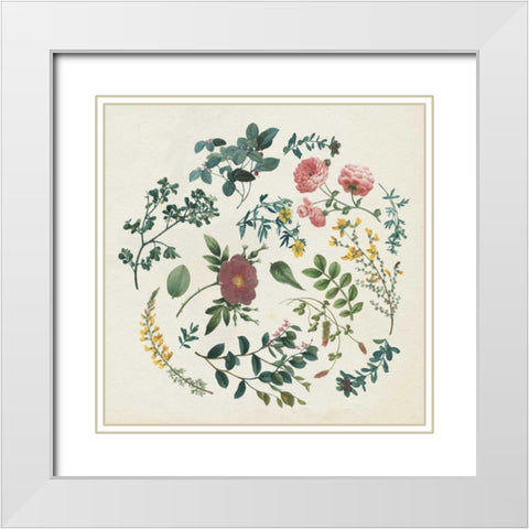 Victorian Garden II White Modern Wood Framed Art Print with Double Matting by Wild Apple Portfolio