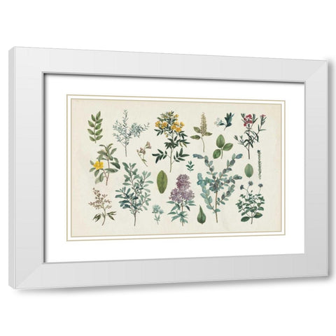Victorian Garden IV White Modern Wood Framed Art Print with Double Matting by Wild Apple Portfolio