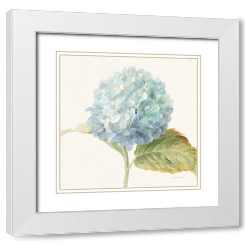 Floursack Florals V - Blue Hydrangea Crop White Modern Wood Framed Art Print with Double Matting by Nai, Danhui