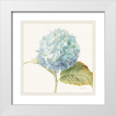 Floursack Florals V - Blue Hydrangea Crop White Modern Wood Framed Art Print with Double Matting by Nai, Danhui