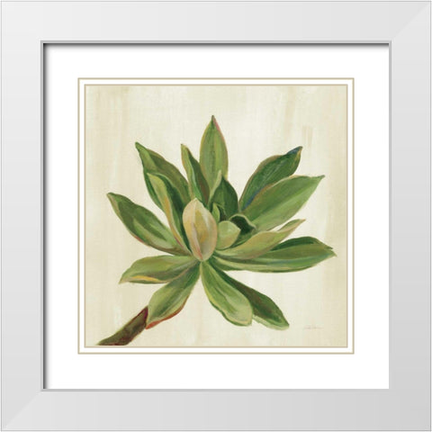 Front Yard Succulent I White Modern Wood Framed Art Print with Double Matting by Vassileva, Silvia