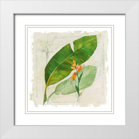 Botanical Study I Light White Modern Wood Framed Art Print with Double Matting by Tillmon, Avery