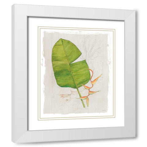 Botanical Journal I Light White Modern Wood Framed Art Print with Double Matting by Tillmon, Avery