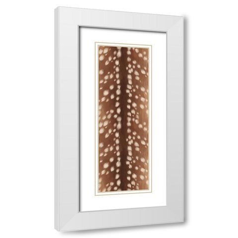 Sweet Fawn II White Modern Wood Framed Art Print with Double Matting by Penner, Janelle