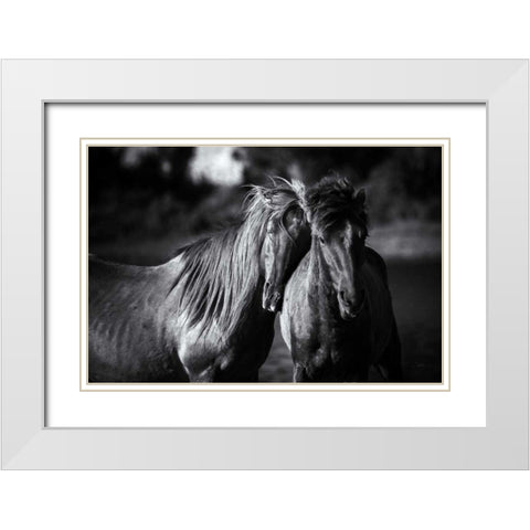 Buddies White Modern Wood Framed Art Print with Double Matting by Aledanda