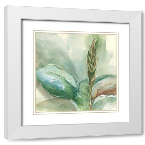 Exotic Flower I White Modern Wood Framed Art Print with Double Matting by Paschke, Chris