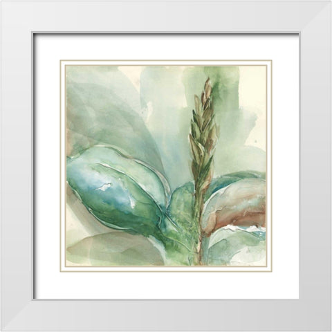 Exotic Flower I White Modern Wood Framed Art Print with Double Matting by Paschke, Chris