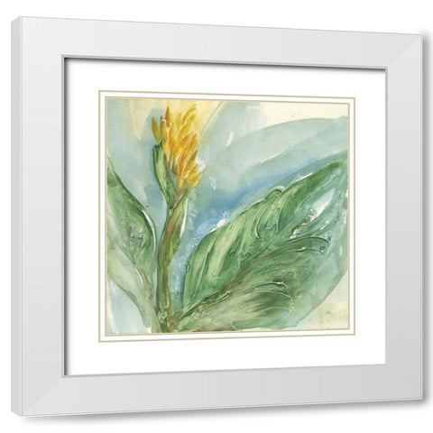 Exotic Flower II White Modern Wood Framed Art Print with Double Matting by Paschke, Chris