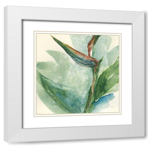Exotic Flower III White Modern Wood Framed Art Print with Double Matting by Paschke, Chris