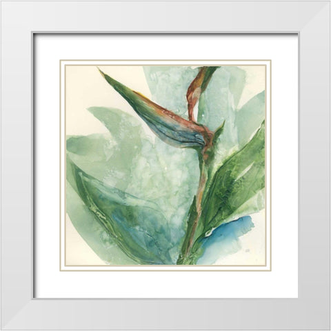 Exotic Flower III White Modern Wood Framed Art Print with Double Matting by Paschke, Chris