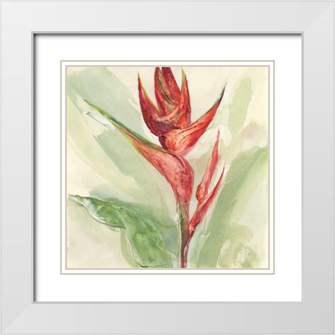 Exotic Flower IV White Modern Wood Framed Art Print with Double Matting by Paschke, Chris