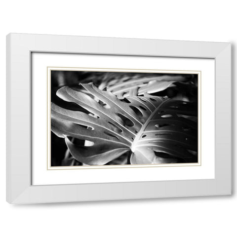 Philodendron White Modern Wood Framed Art Print with Double Matting by Marshall, Laura