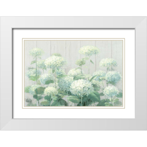 White Hydrangea Garden Sage on Wood Crop White Modern Wood Framed Art Print with Double Matting by Nai, Danhui