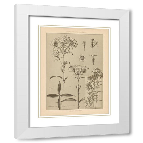 Lithograph Florals III White Modern Wood Framed Art Print with Double Matting by Wild Apple Portfolio