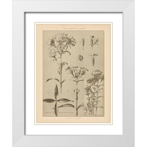 Lithograph Florals III White Modern Wood Framed Art Print with Double Matting by Wild Apple Portfolio