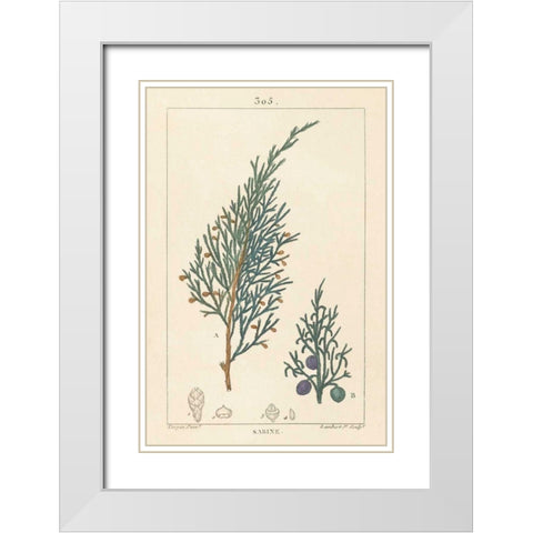 Sabine Drawing White Modern Wood Framed Art Print with Double Matting by Wild Apple Portfolio