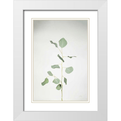 Simple Stems I White Modern Wood Framed Art Print with Double Matting by Bradley, Felicity