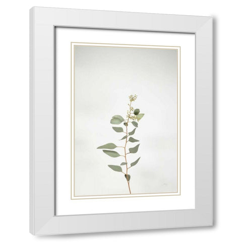 Simple Stems II White Modern Wood Framed Art Print with Double Matting by Bradley, Felicity