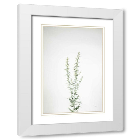 Simple Stems IV White Modern Wood Framed Art Print with Double Matting by Bradley, Felicity