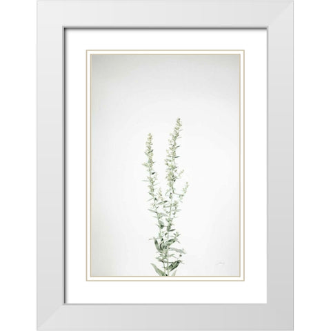 Simple Stems IV White Modern Wood Framed Art Print with Double Matting by Bradley, Felicity