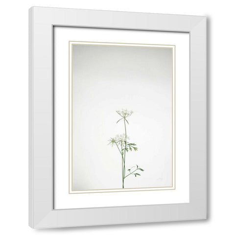 Simple Stems VI White Modern Wood Framed Art Print with Double Matting by Bradley, Felicity