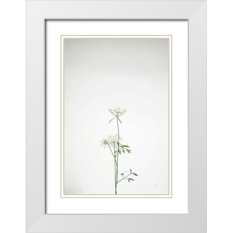 Simple Stems VI White Modern Wood Framed Art Print with Double Matting by Bradley, Felicity