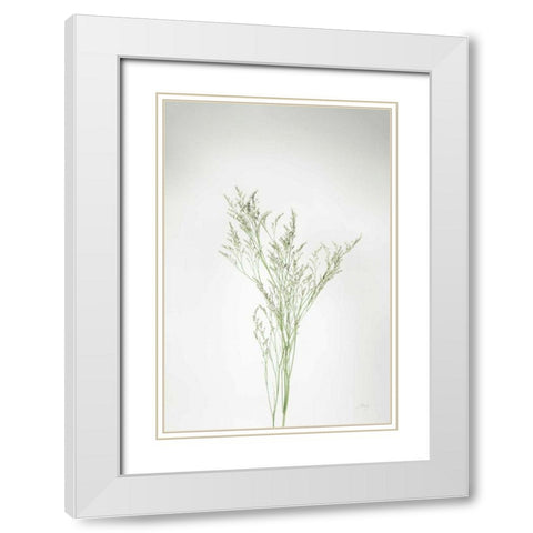 Simple Stems VII White Modern Wood Framed Art Print with Double Matting by Bradley, Felicity