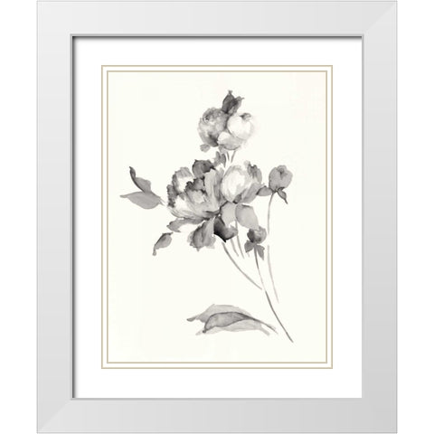Peony Blossoms Gray Crop White Modern Wood Framed Art Print with Double Matting by Wild Apple Portfolio