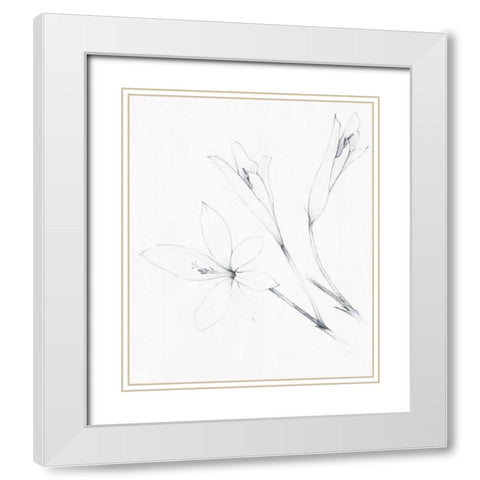 Graphite Floral IV White Modern Wood Framed Art Print with Double Matting by Tillmon, Avery