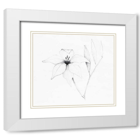 Graphite Floral V White Modern Wood Framed Art Print with Double Matting by Tillmon, Avery