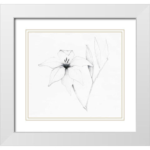 Graphite Floral V White Modern Wood Framed Art Print with Double Matting by Tillmon, Avery
