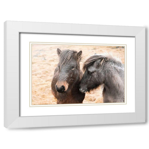 Bjarni and Imir II White Modern Wood Framed Art Print with Double Matting by Marshall, Laura