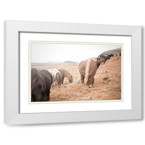 Horses of Hofn II White Modern Wood Framed Art Print with Double Matting by Marshall, Laura