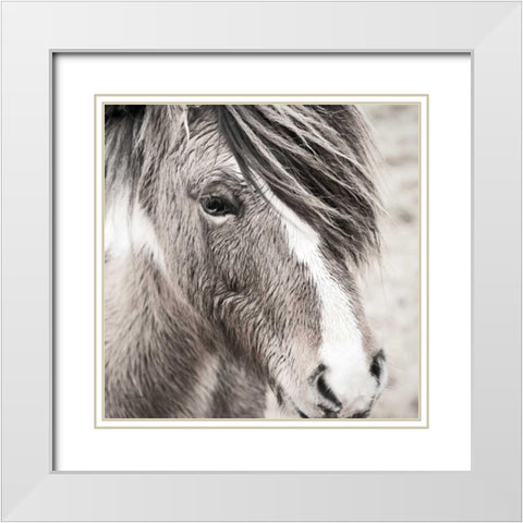 Elska III BW White Modern Wood Framed Art Print with Double Matting by Marshall, Laura